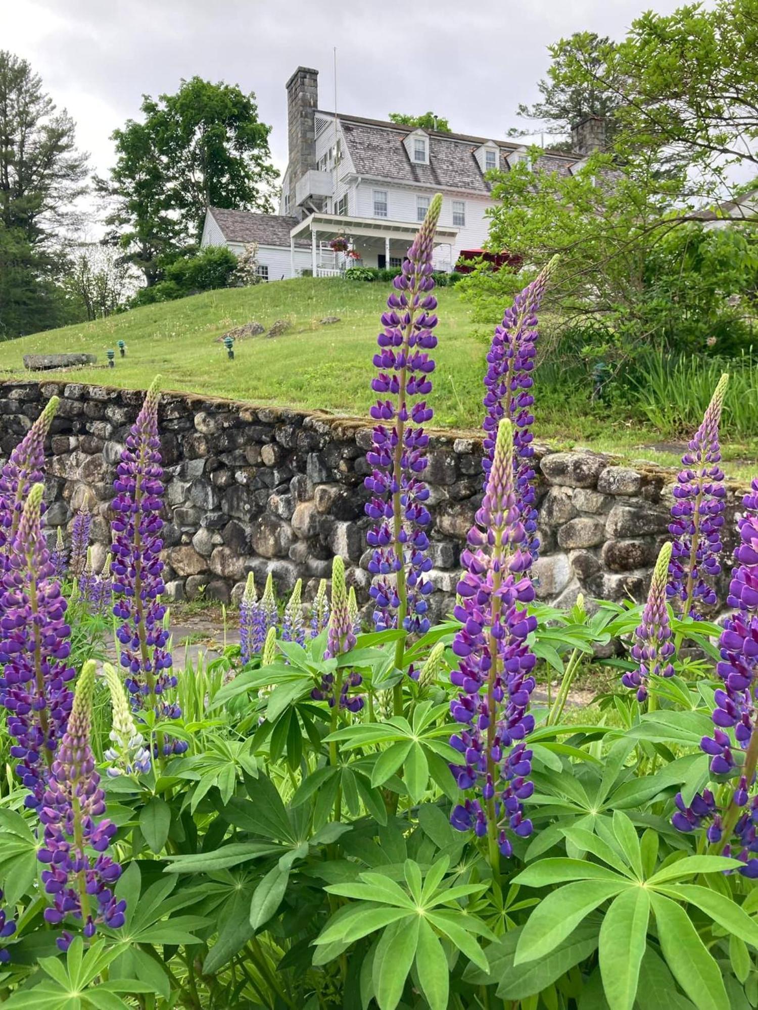 Adair Country Inn & Restaurant Bethlehem Dış mekan fotoğraf